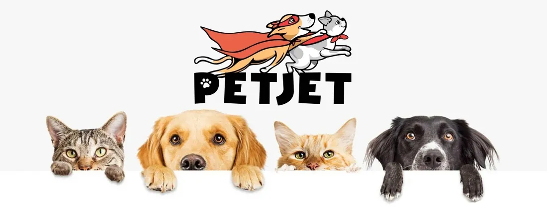 kombinezon-petjet-niebieski-l
