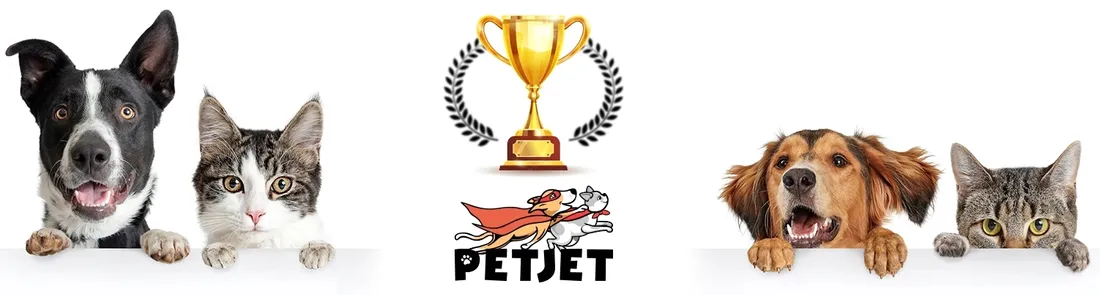 kombinezon-petjet-niebieski-l