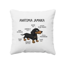 anatomia-jamnika-poduszka-z-jamnikiem-prezent-dla-milosnika-jamnikow