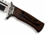 noz-bsh-adventure-170-model-170