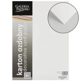 karton-wizytowkowy-a4-20-arkuszy-240g-m2-plotno-bialy