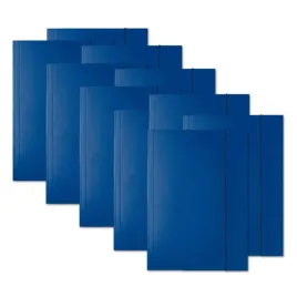 10szt-teczka-a4-z-gumka-esselte-lakierowana-teczki