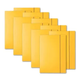 10szt-teczka-a4-z-gumka-esselte-lakierowana-teczki