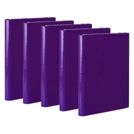 5x-teczka-skrzydlowa-vaupe-a4-z-gumka-na-dokumenty