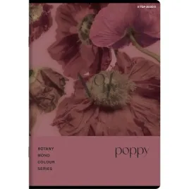 zeszyt-top-2000-botany-a5-96-kartek-w-kratke