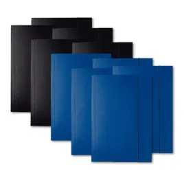 10szt-teczka-a4-z-gumka-esselte-lakierowana-teczki