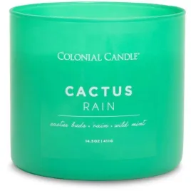 swieca-tradycyjna-sojowa-cactus-rain-colonial-candle