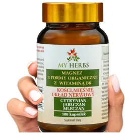 magnez-z-b6-3-formy-cytrynian-mleczan-jablczan-100-kaps-wspiera-nerwy