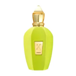xerjoff-vibe-collection-amabile-eau-de-parfum-niszowy-100-ml