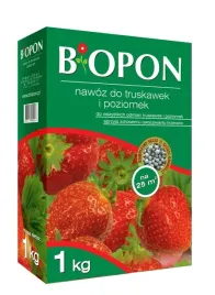 nawoz-do-truskawek-i-poziomek-1-kg