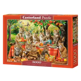 puzzle-castorland-3000-cat-family-reunion
