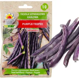 fasola-szparagowa-karlowata-karlowa-purple-teepee-nasiona-warzyw-fasoli-30g