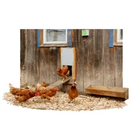 automatyczne-drzwi-dla-kur-kerbl-30-40-cm-elektroniczna-klapa-do-kurnika