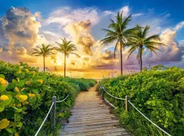 puzzle-3000-ukladanka-krajobraz-widok-plaza-ocean-palmy-miami-9-castor