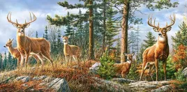 puzzle-4000-ukladanka-widok-obraz-zwierzeta-rodzina-jelenie-las-9-castor