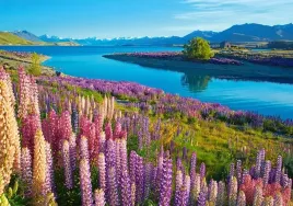 puzzle-500-ukladanka-widok-krajobraz-jezioro-tekapo-gory-kwiaty-9-castor