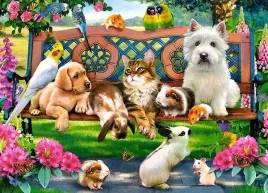 puzzle-180-ukladanka-zwierzeta-domowe-w-parku-koty-psy-papugi-7-castor