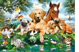 puzzle-500-ukladanka-koty-psy-konie-ptaki-zajace-zwierzeta-domowe-9-castor