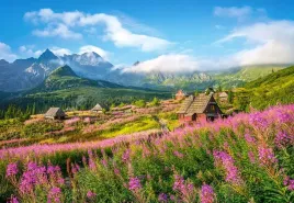 puzzle-1000-ukladanka-krajobraz-widok-gory-tatry-hala-gasienicowa-9-castor