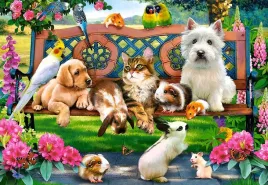 puzzle-1000-ukladanka-zwierzeta-domowe-kot-pies-papuga-kwiaty-9-castor