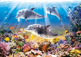 puzzle-500-ukladanka-zwierzeta-delfiny-rafa-koralowa-rybki-morze-9-castor