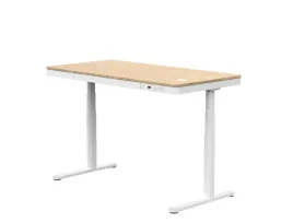 elektryczne-biurko-stojace-comhar-q8-flexispot-bambus-biale-100kg-124-cm