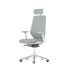 krzeslo-biurowe-ergonomiczne-z-zaglowkiem-bs11-szare-regulowane-flexispot