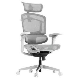 fotel-biurowy-ergonomiczny-250kg-regulowany-flexispot-ergox-pro-szary