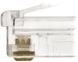 wtyk-modularny-rj45-c53-p100