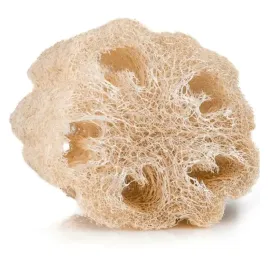 gabka-do-mycia-i-masazu-ciala-luffa-loofah-100percent-naturalna-pielegnujaca-ya