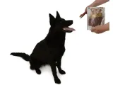 magnum-duck-roll-on-rawhide-stick-250g-rodzaj-przysmaki-suszone