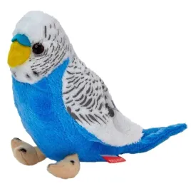 papuga-falista-bialo-niebieska-13cm