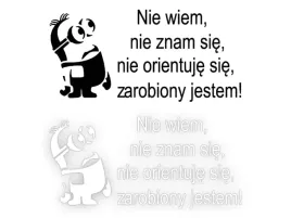 nie-wiem-nie-znam-sie-naklejka-minionek-na-samochod-na-auto-kolor