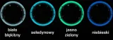 moman-tarcze-indiglo-do-bmw-e36-wzor-2-stan-nowy-waga-z-opakowaniem-0-4-kg