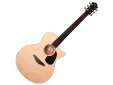 gitara-el-akus-furch-violet-gc-sm-lr-baggs-spe