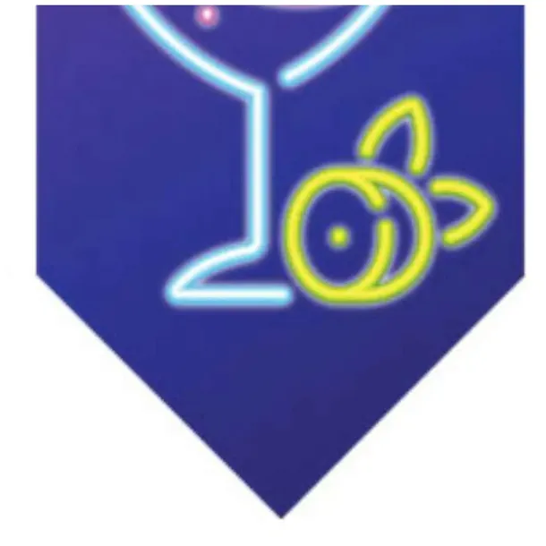 baner-flagi-disco-neon-congee-5m