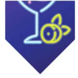 baner-flagi-disco-neon-congee-5m