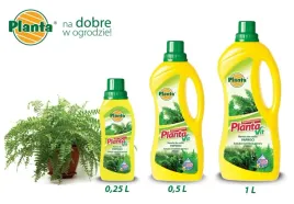 nawoz-plynny-do-paproci-1-l-planta