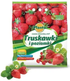 nawoz-na-truskawki-i-poziomki-3-kg-planta