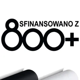 naklejka-na-samochod-szybe-sfinansowano-z-800-or-smieszna-naklejka-15x6