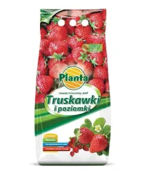 nawoz-pod-truskawki-i-poziomki-10-kg-planta-4380