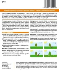 grzybnia-kurka-pieprznik-jadalny-10-g