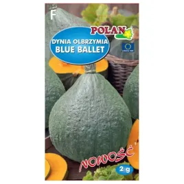 dynia-olbrzymia-blue-ballet-nasiona-2g-polan