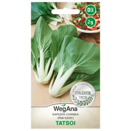 kapusta-chinska-tatsoi-nasiona-pak-choy-wegana