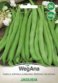 fasola-zielona-bezwloknista-zwykla-karlowa-jagusia-40g-wegana