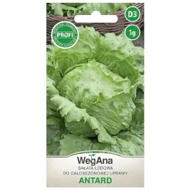 salata-antrad-lodowa-do-uprawy-calosezonowej-nasiona-wegana