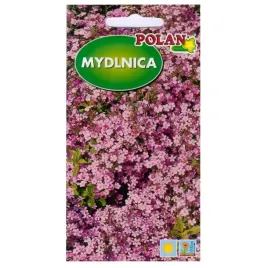 mydlnica-bazyliowata-wieloletnia-rozowa-nasiona-polan