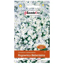 rogownica-biebersteina-bylina-bujnie-rosnaca-i-kwitnacanasiona-plantico