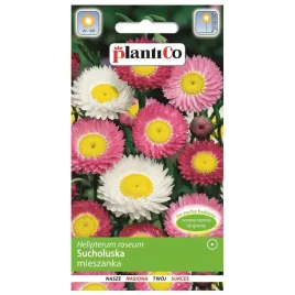 sucholuska-mieszanka-na-suche-bukiety-nasiona-kwiatow-plantico