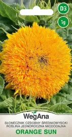 slonecznik-ozdobny-sredniowysoki-pomaranczowy-orange-sun-1g-nasiona-wegana